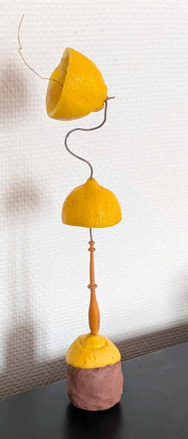 N&#39;oublie pas ton pepin