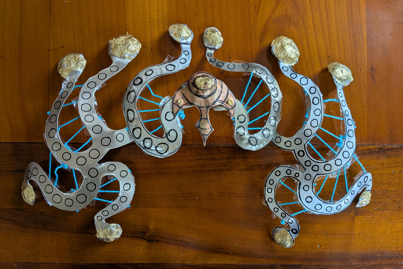 Projet de raie mante-harpe a grelots