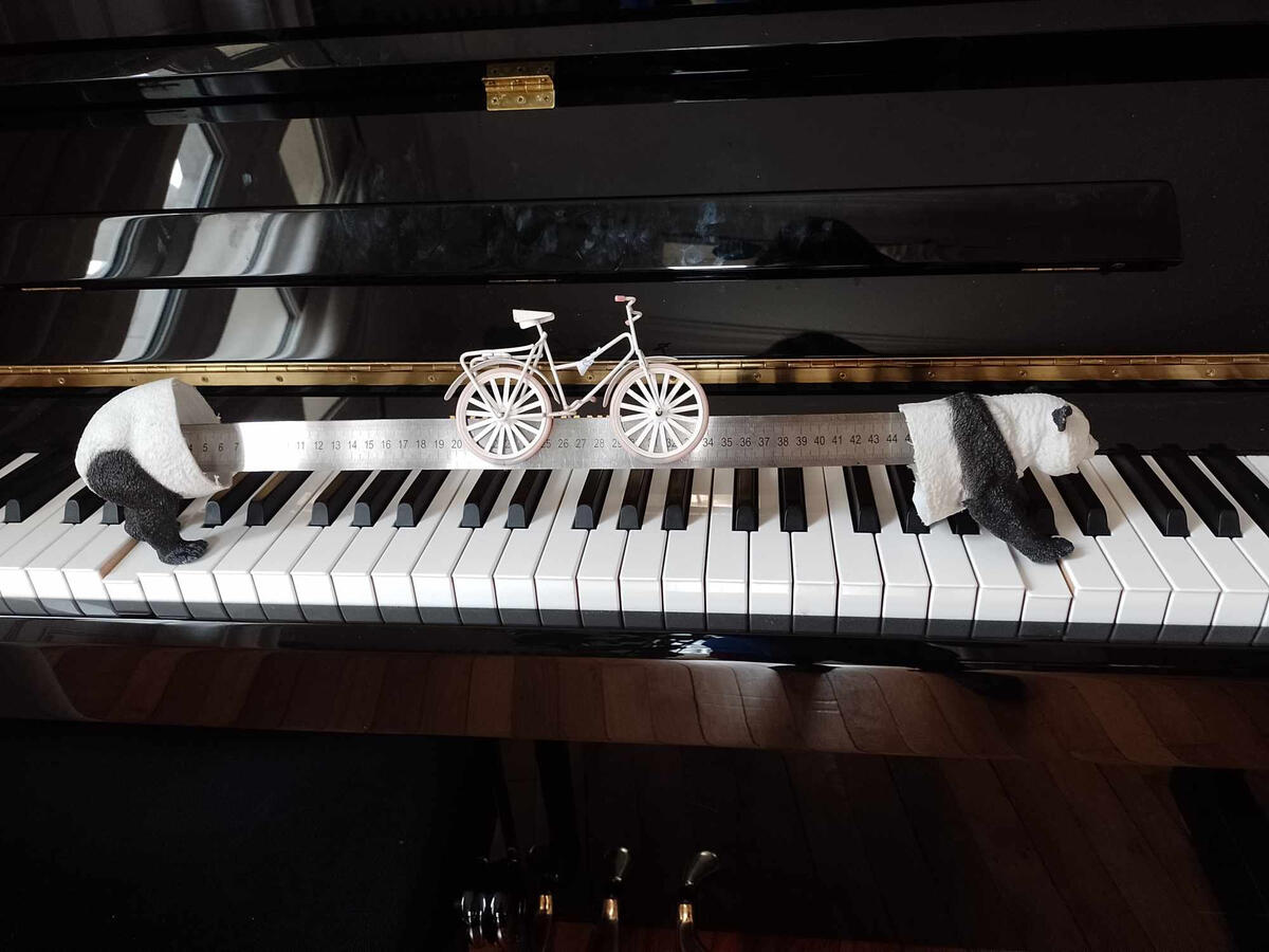 Les 1000 et 1 vies du panda Octave, qu&#39;il racontait en ballade