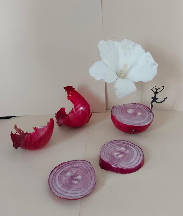 Aujourd&#39;hui il pleut, le gramophone aux petits oignons..