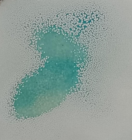 Untitled, ( email sur acier, 10*10 cm)