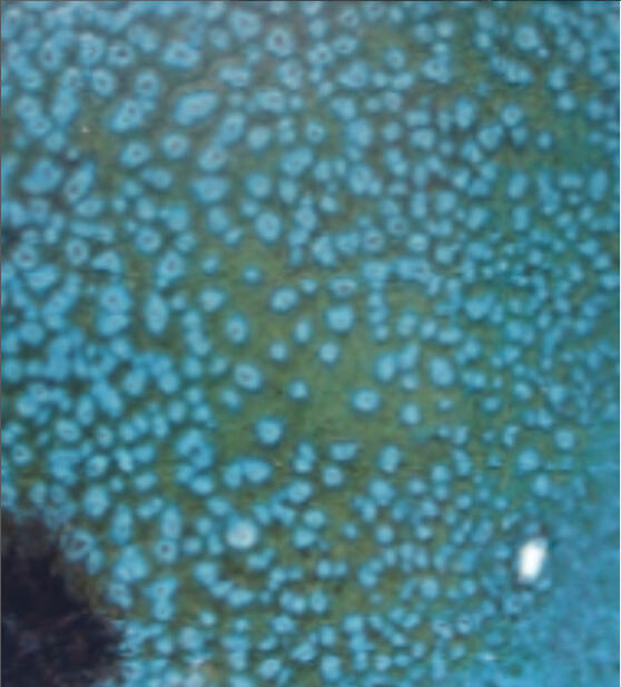 Untitled, (email sur acier, 3*2 cm)