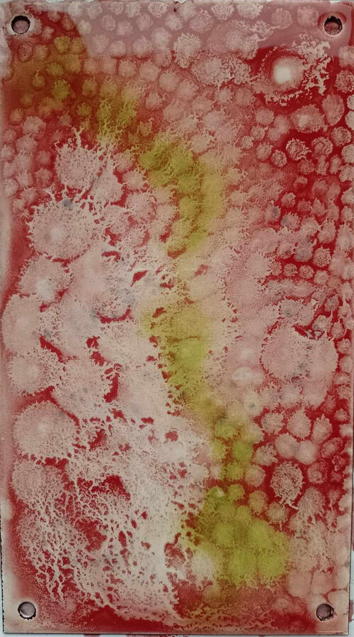 Untitled, ( email sur acier, 25*14 cm)