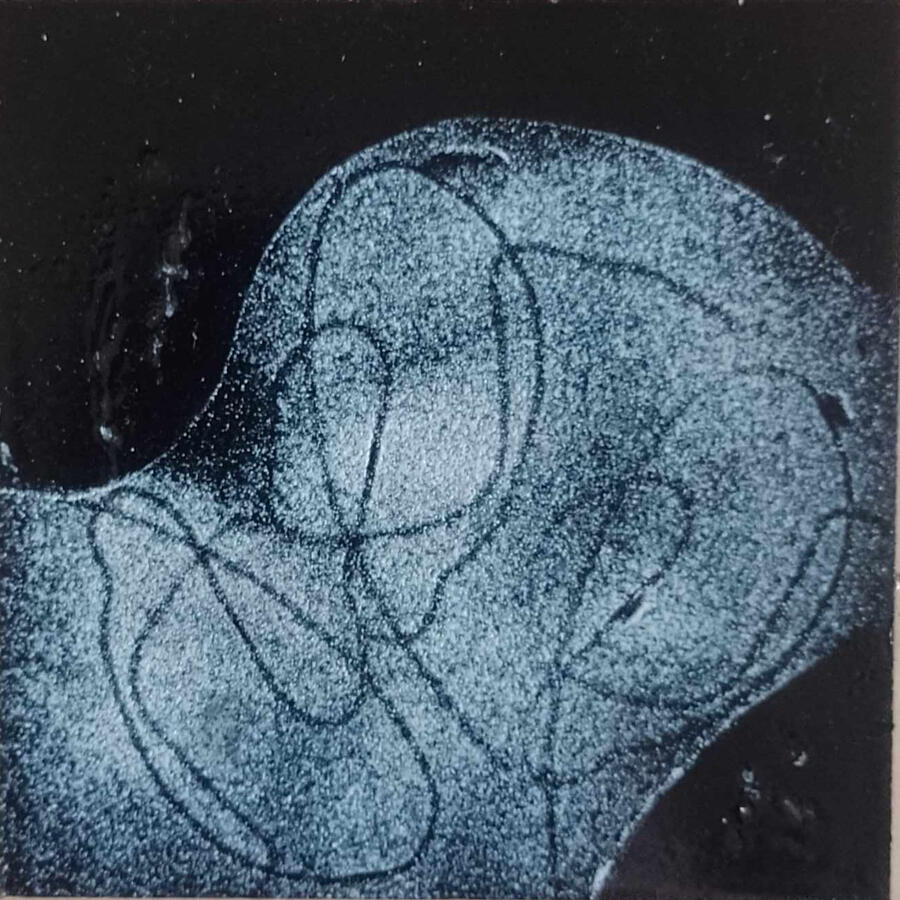 &quot; Le patineur&quot; Julien Clerc