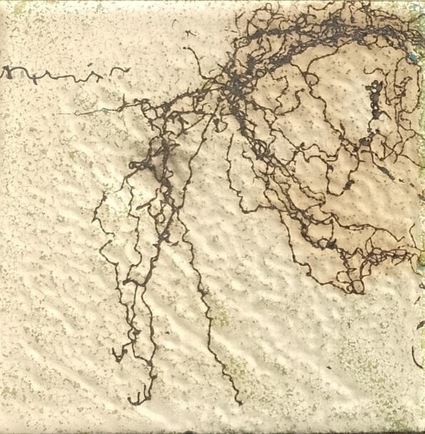 untitled, ( email sur acier, 10*10 cm)