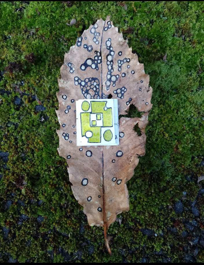 C 55 H 72 MgN 4 O 5 (Un petit livre nommé chlorophylle), ( email sur argent, 4*3cm)